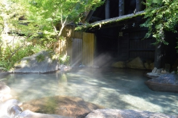 黒川温泉 旅館 奥の湯