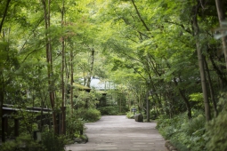 黒川温泉 旅館 奥の湯
