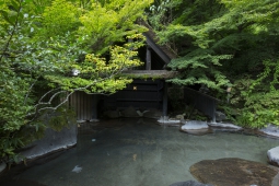 黒川温泉 旅館 奥の湯