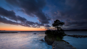 浜辺の宿 かめや