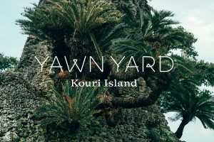 YAWN YARD Kouri Island