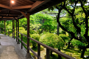 株式会社マックスジャパン