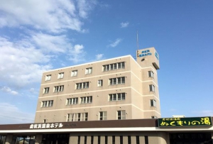 虎杖浜温泉ホテル