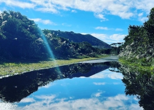 癒楽伊豆大島