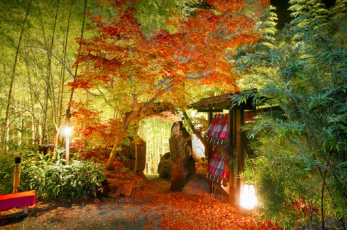 秘境　白川源泉　山荘　竹ふえ