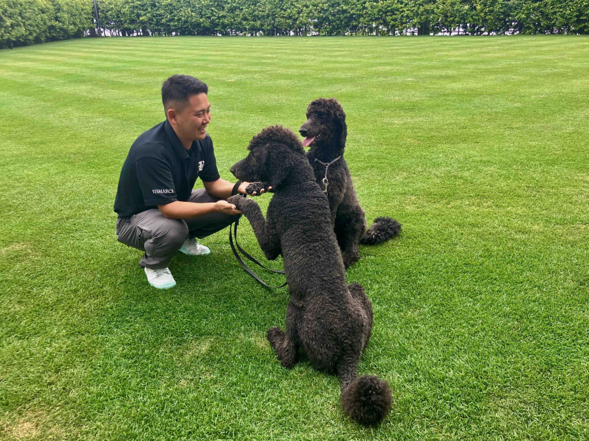 【仕事】犬好きの方歓迎！一緒に空気のいい中お散歩できます