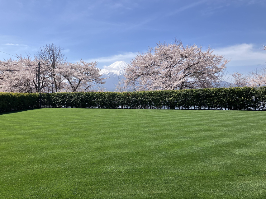 大自然に囲まれた環境