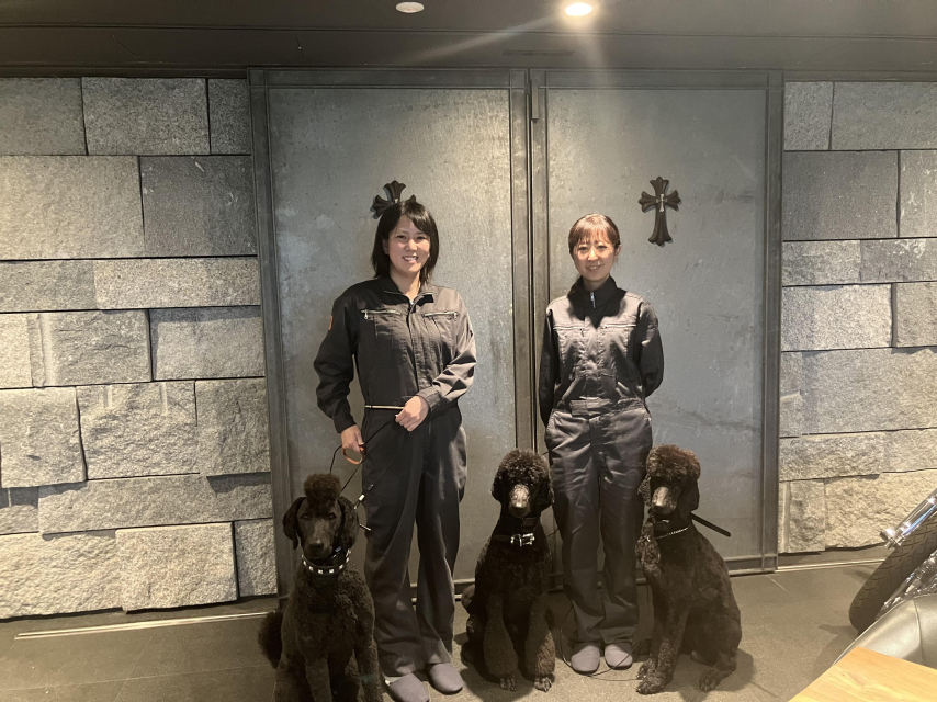 犬たちと共に働く職場