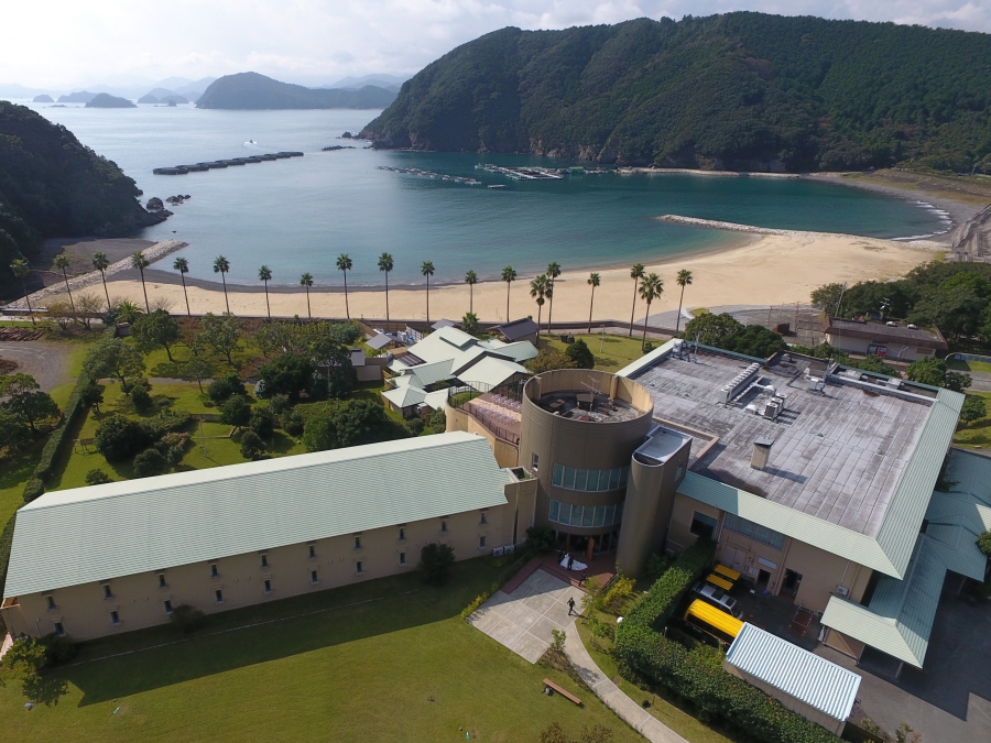 サン浦島　悠季の里